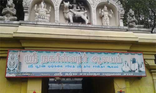 [Image1]