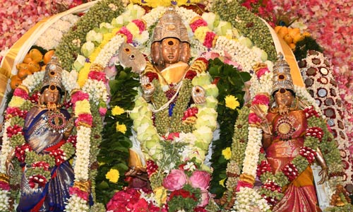 பழநி கும்பாபிஷேக விழாவில் சண்முகருக்கு திருக்கல்யாணம்