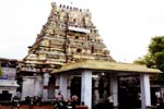 திருத்தளிநாதர் கோயிலில் யாகசாலை பூஜை துவக்கம்