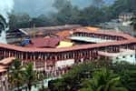 சபரிமலை மேல்சாந்தி நியமனம்: விரைவில் அறிக்கை தாக்கல்