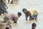மேலூர் மீன்பிடி திருவிழா கோலாகலம்