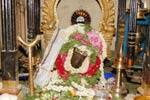 சதுரகிரி சுந்தர மகாலிங்க சுவாமி கோயிலில் அமாவாசை சிறப்பு பூஜை!