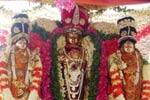 நரசிம்மர் கோவிலில் தேர்த் திருவிழா கோலாகலம்!