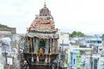 நெல்லையப்பர் கோவில் 507ம் ஆண்டு தேரோட்டம்