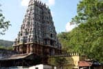 அழகர்கோவில் ஆடி திருவிழா ஆக., 5ல் கொடியேற்றம்