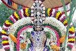 பூதாமூர் செங்கழனி மாரியம்மன் கோயில் ஆடிசெடல் திருவிழா