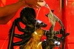 தாண்டிக்குடி வாராஹி அம்மன் கோயில் விழா