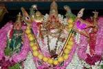 திருச்செந்தூர் முருகன் கோயிலில் ஆவணி திருவிழா!