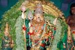 திருச்செந்தூரில் 28ம் தேதி தேரோட்டம்