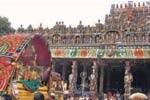 புட்டுத்திருவிழாவில் பங்கேற்க முருகன் நாளை புறப்பாடு!