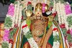 விருதுநகர் வாலசுப்பிரமணியர் கோயிலில் நடந்த மீனாட்சி சுந்தரேஸ்வரர் புட்டுத் திருவிழா