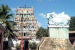 பிறவி மருந்தீஸ்வரர் கோவிலில் அன்னதான திட்டம் தொடக்கம்!