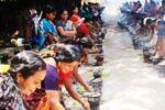 பெண்களின் சபரிமலையில் அஸ்வதி பொங்கல் விழா!