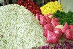 திருப்பதி ஏழுமலையானை அலங்கரிக்கும் பழநி பூக்கள்!