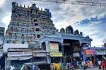 நெல்லையப்பர் கோவிலில் நவராத்திரி விழா துவக்கம்!