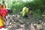 வேண்டுதல் நிறைவேற்றும் கூட்டங்கற்கள்: மலைப் பயணத்தில் ஒரு சுயபரிசோதனை!