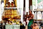 நடராஜர் கோவில் உலக நன்மை வேண்டி அதிருத்ர மகா யாகம்!