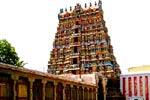 நெல்லையப்பர் கோயிலில் ஐப்பசி திருக்கல்யாண திருவிழா கொடியேற்றம்!