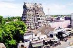 நெல்லையப்பர் கோயிலில் திருக்கல்யாண விழா: சப்பர பவனி கோலாட்டம்!