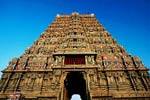 காசிவிசுவநாதர் கோயிலில் நாளை திருக்கல்யாண தேரோட்டம்!