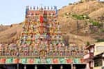 திருப்பரங்குன்றம் கோயிலில் கார்த்திகை தீப திருவிழா: நாளை கொடியேற்றம்!