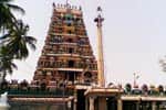 அவிநாசிலிங்கேஸ்வரர் கோவிலில் கார்த்திகை தீப விழா!