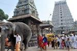 திருவண்ணாமலை தீபத்திருவிழா: மஹா தீபத்துக்கு 1,000 மீட்டர் திரி!
