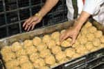 லட்டு விற்பனை முறைகேட்டை தடுக்க திருமலையில் சிறப்பு ஏற்பாடு!