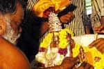 ஆரியங்காவில் புஷ்கலாதேவி திருக்கல்யாண உற்சவம் கோலாகலம்!