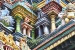 கோவில் கோபுர செடிகளை அகற்ற ஹைடிராலிக் ஏணி அறிமுகம்!