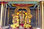 வீரராகவ பெருமாள் கோவில் தை பிரம்மோற்சவம் துவக்கம்!
