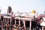 பழநி கோயில் நிர்வாகத்திற்கு சபாஷ்: சொதப்பிய நகராட்சி!