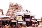 நெல்லையப்பர் கோயிலில் தைப்பூச விழா கொடியேற்றம் கோலாகலம்