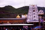 திருமலையில் ரத சப்தமி உற்சவம்: ஏழு வாகன சேவையில் சுவாமி உலா!