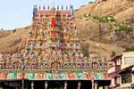 திருப்பரங்குன்றத்தில் இன்று தெப்பத் திருவிழா!
