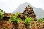 தினமலர் செய்தி எதிரொலி: மணவாளப்பெருமாள் கோயிலில் திருப்பணி துவங்கியது!