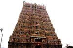 காசிவிசுவநாதர் கோயிலில் இன்று மாசி மகப் பெருவிழா தேரோட்டம்!