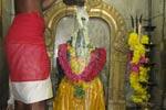கொட்டாம்பட்டி காளியம்மன் கோயில் திருவிழா கோலாகலம்!