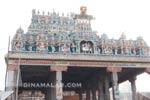 விருத்தாசலம் விருத்தகிரீஸ்வரர் கோவிலில் பராமரிப்பில்லை : செடிகள் வளர்வதால் கோபுரத்திற்கு ஆபத்து