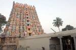 வைகுண்ட பெருமாள் கோவிலில் இன்று பிரம்மோற்சவம் துவக்கம்!