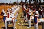 மேலூர் அருகே 2500 புரவிகளுடன் 13 ஆண்டுகளுக்கு பிறகு திருவிழா!