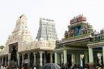 திருச்செந்தூர் முருகன் கோயிலில் ஜூன் 3ல் வைகாசி விசாகம்!