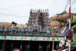 திருப்பரங்குன்றத்தில் வைகாசி விசாக பாலாபிஷேகம்!