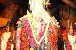 திருப்பரங்குன்றத்தில் வைகாசி விசாக பால் குடம் கோலாகலம்!