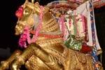 பழநியில் தங்கக்குதிரை வாகனத்தில் எழுந்தருளிய முத்துக்குமாரசுவாமி!