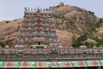 திருப்பரங்குன்றம் சுப்பிரமணிய சுவாமி கோயிலில் ஏலம் தள்ளிவைப்பு