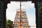 திருநாகேஸ்வரம் நாகநாதசுவாமி கோவிலில் அமைச்சர் திடீர் ஆய்வு!