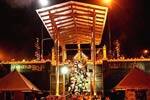 சபரிமலையில் நடை திறப்பு: 19ம் தேதி வரை திறந்திருக்கும்!