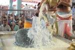 பள்ளிகொண்டேஸ்வரர் கோயிலில் சனிப் பிரதோஷ விழா கோலாகலம்!