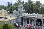 சுகவனேஸ்வரர் கோவில் தெப்பக்குளம் தூர்வாரும் பணியில் பக்தர்கள்!